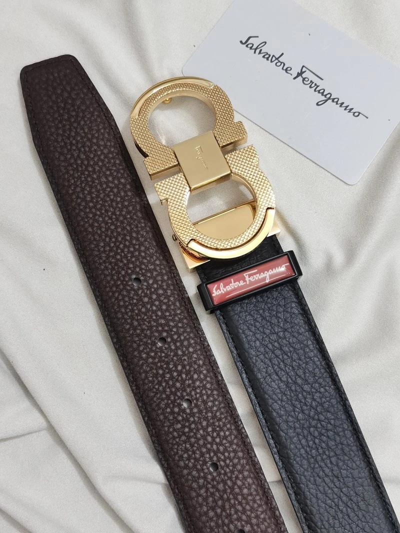 Ferragamo Belts DailyWear 288002