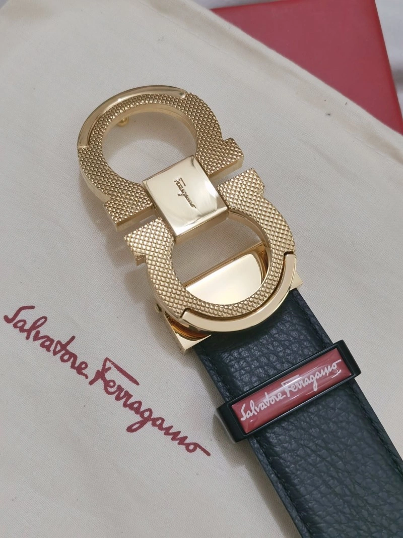 Ferragamo Belts DailyWear 288002