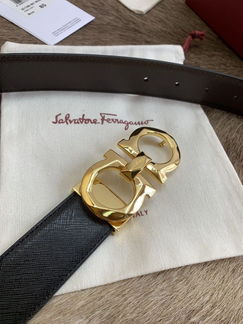 Resilient Ferragamo Belts 287936