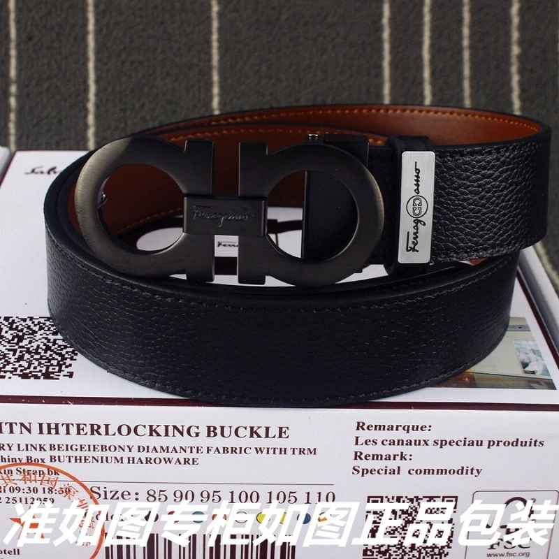 FreshLook Ferragamo Belts 287839