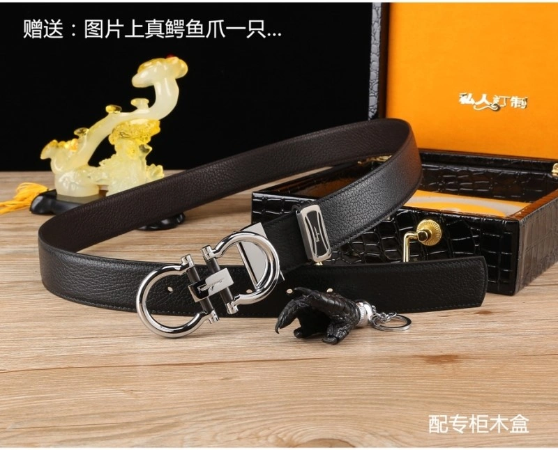 ZipUp Ferragamo Belts 287815