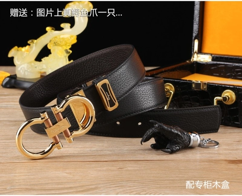 ZipUp Ferragamo Belts 287815