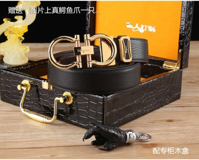 ZipUp Ferragamo Belts 287815