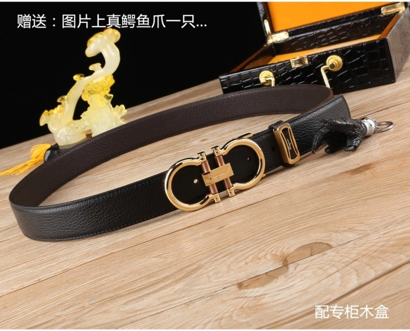 ZipUp Ferragamo Belts 287815