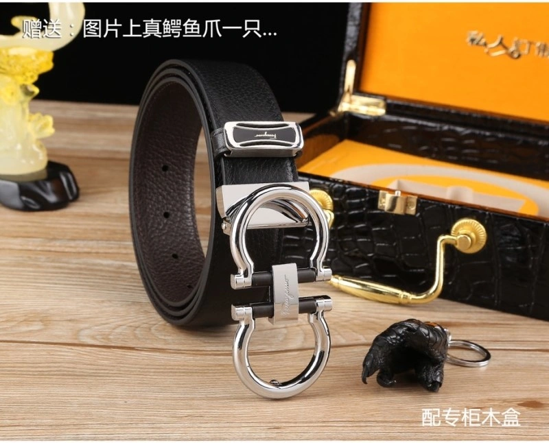ZipUp Ferragamo Belts 287815