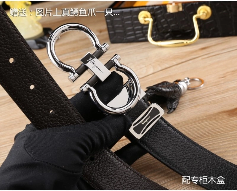 ZipUp Ferragamo Belts 287815