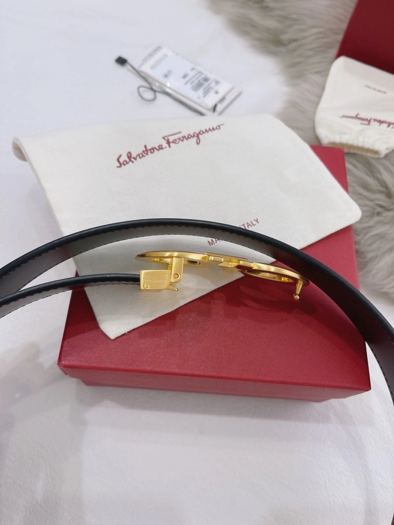 FastDry Ferragamo Belts 287478