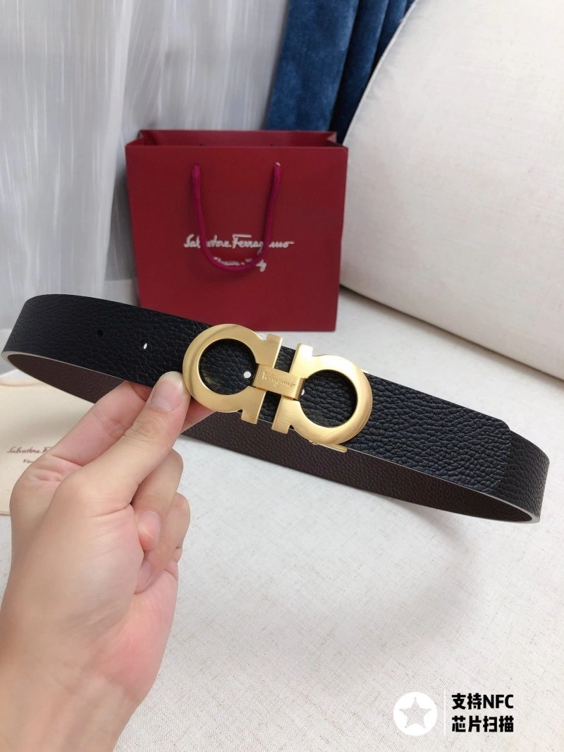 ZipUp Ferragamo Belts 287217