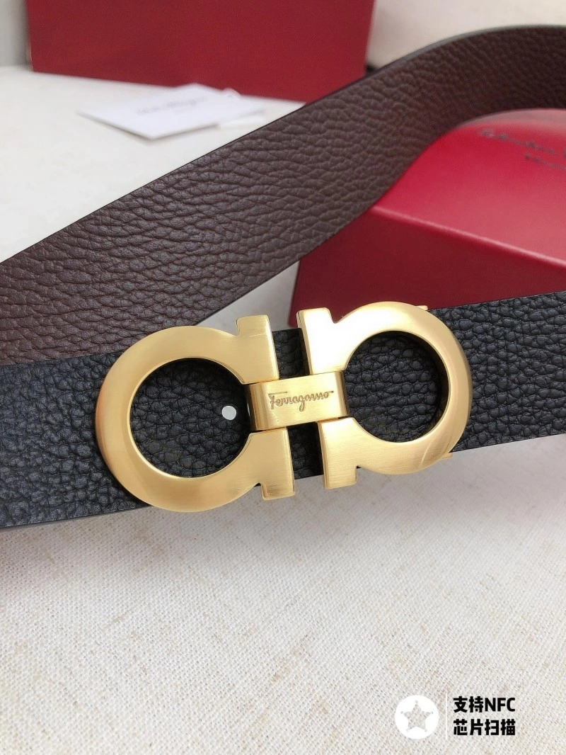 ZipUp Ferragamo Belts 287217
