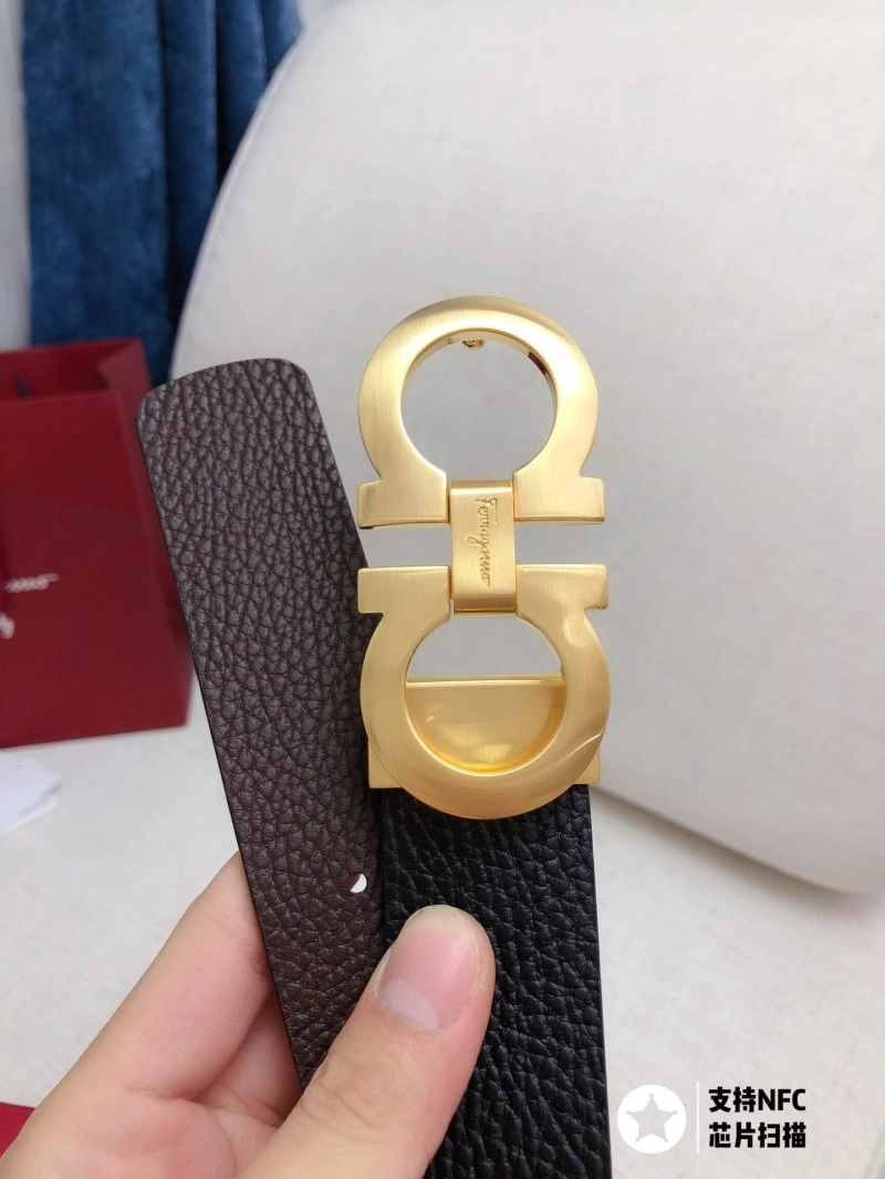 ZipUp Ferragamo Belts 287217