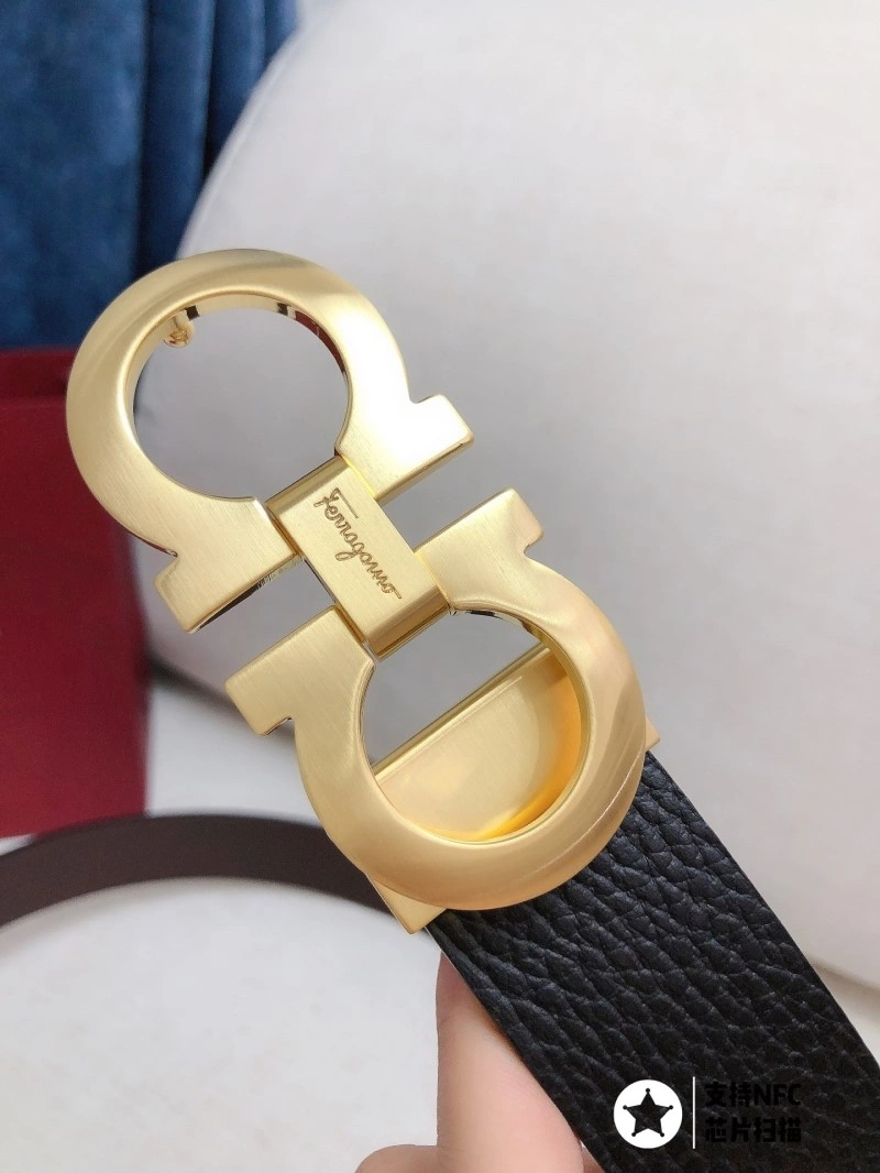 ZipUp Ferragamo Belts 287217