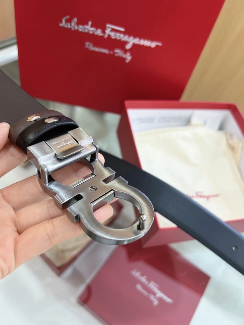 FreshLook Ferragamo Belts 286871