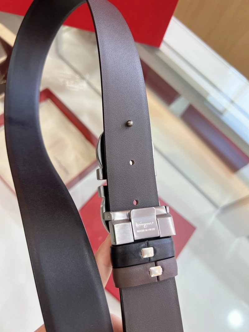 FreshLook Ferragamo Belts 286871