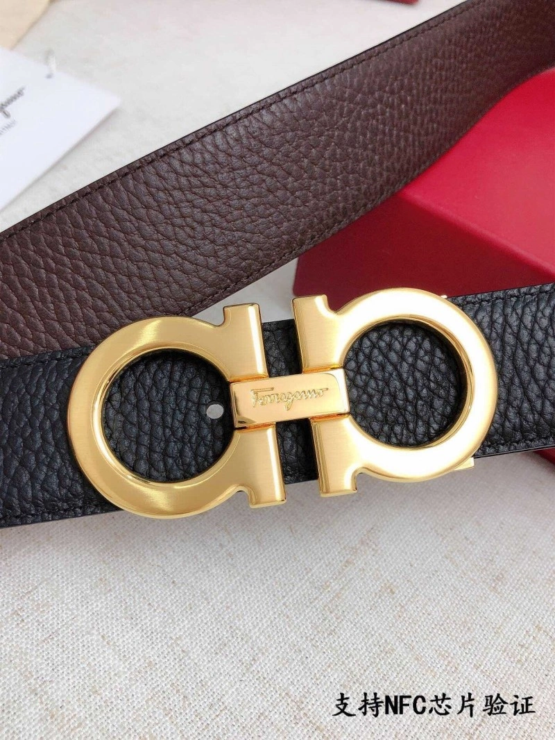 FreshLook Ferragamo Belts 286719