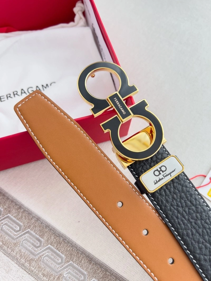 DailyWear Ferragamo Belts 286611