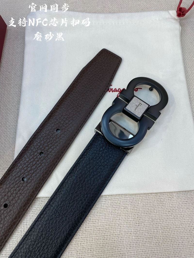 Packable Ferragamo Belts 289445