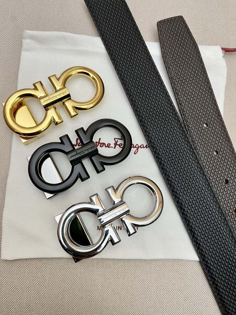 Ferragamo Belts DailyWear 289418