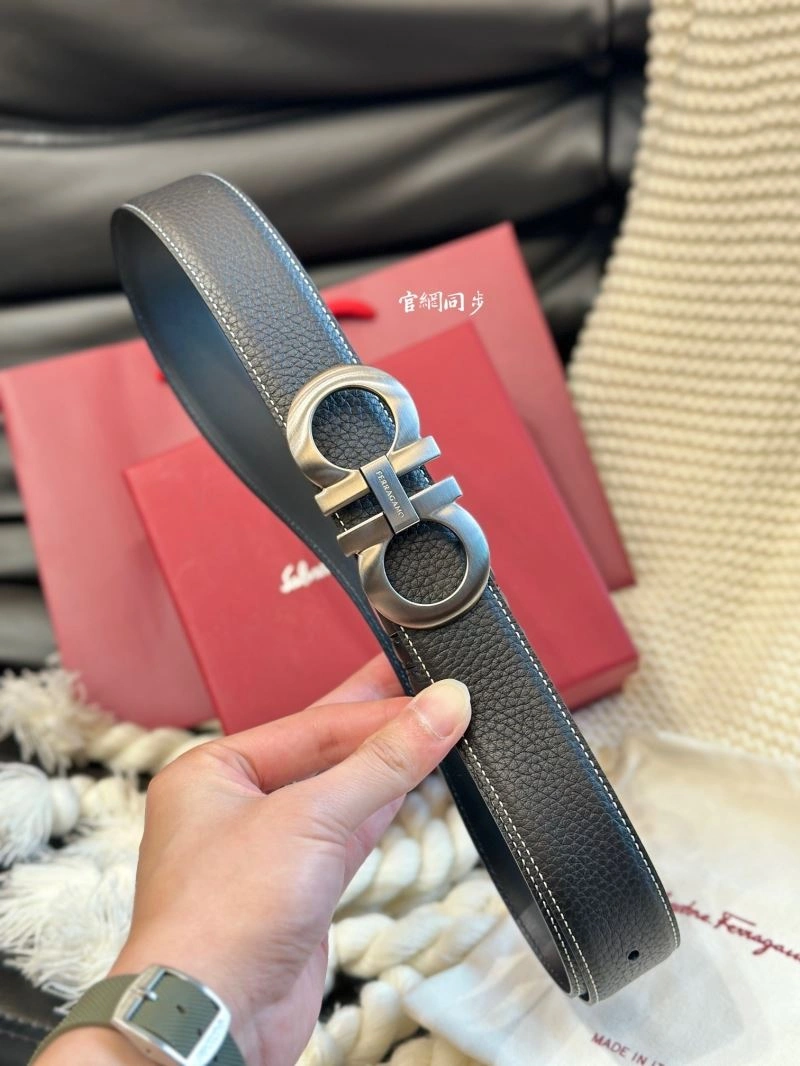 FreshLook Ferragamo Belts 289406
