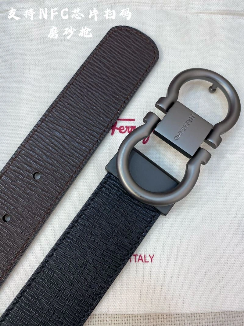 GoAnywhere Ferragamo Belts 289389