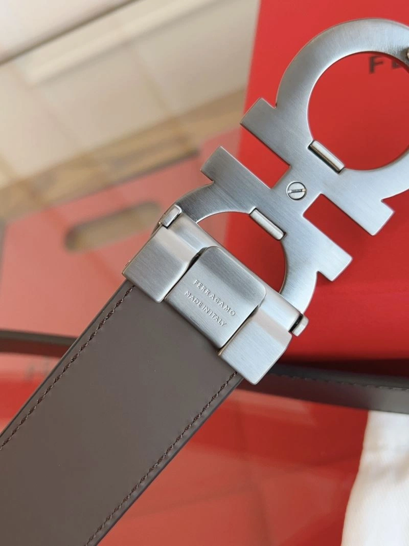 Ferragamo Belts Vibrant 289352
