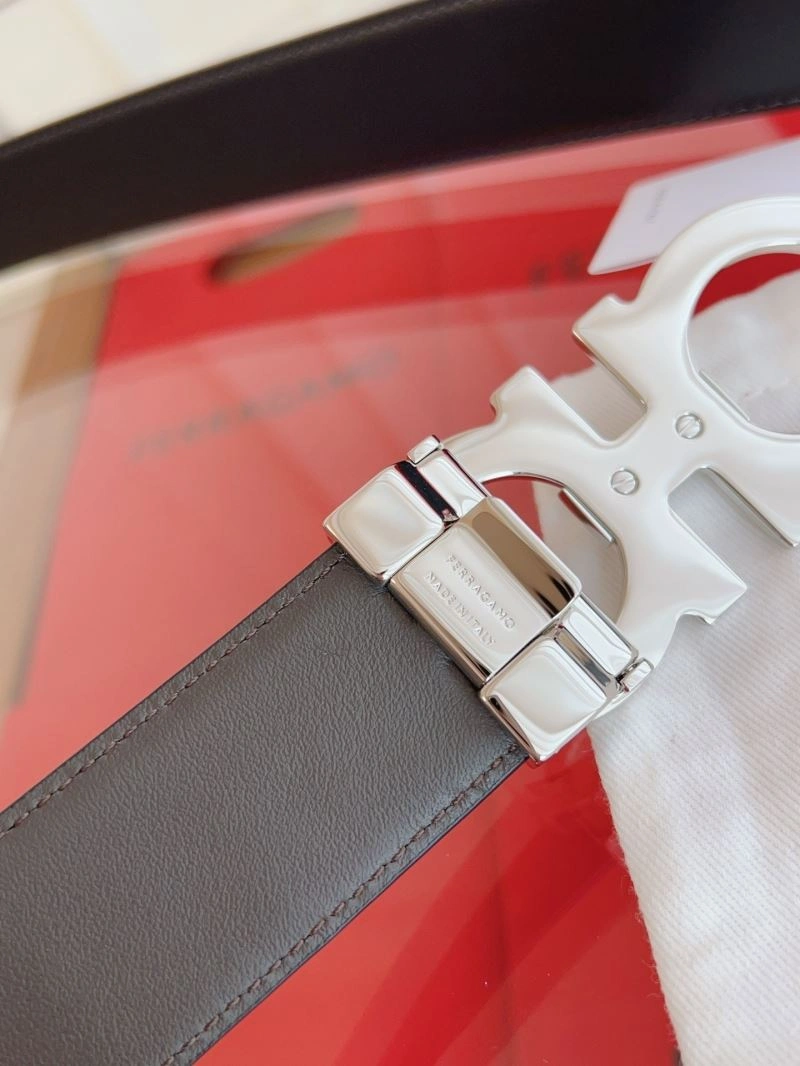 Supportive Ferragamo Belts 289355