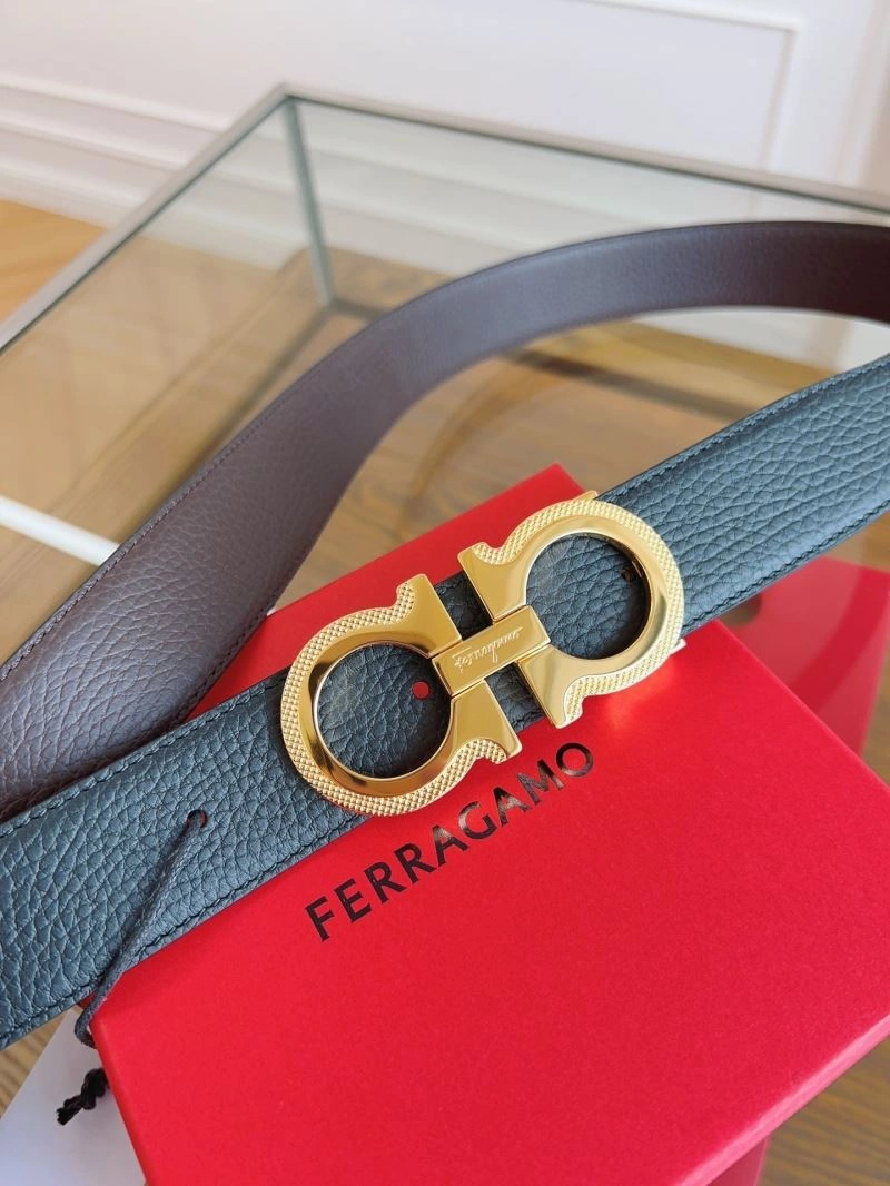 ZipUp Ferragamo Belts 289263