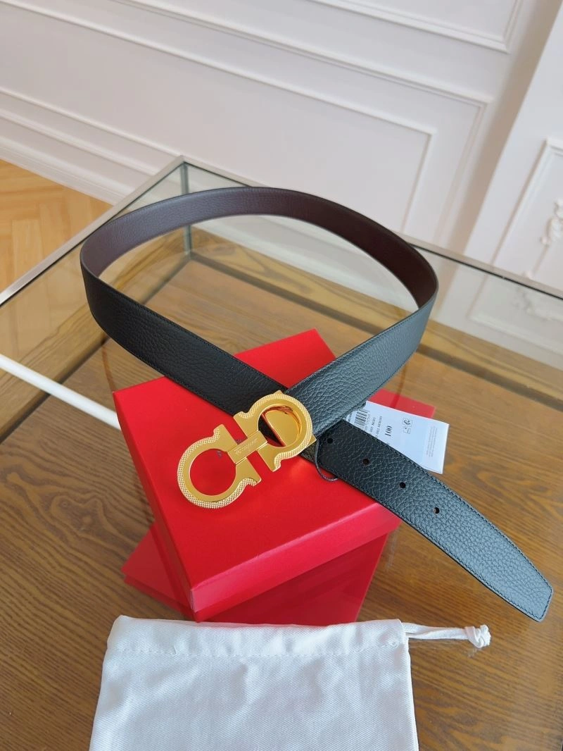 ZipUp Ferragamo Belts 289263