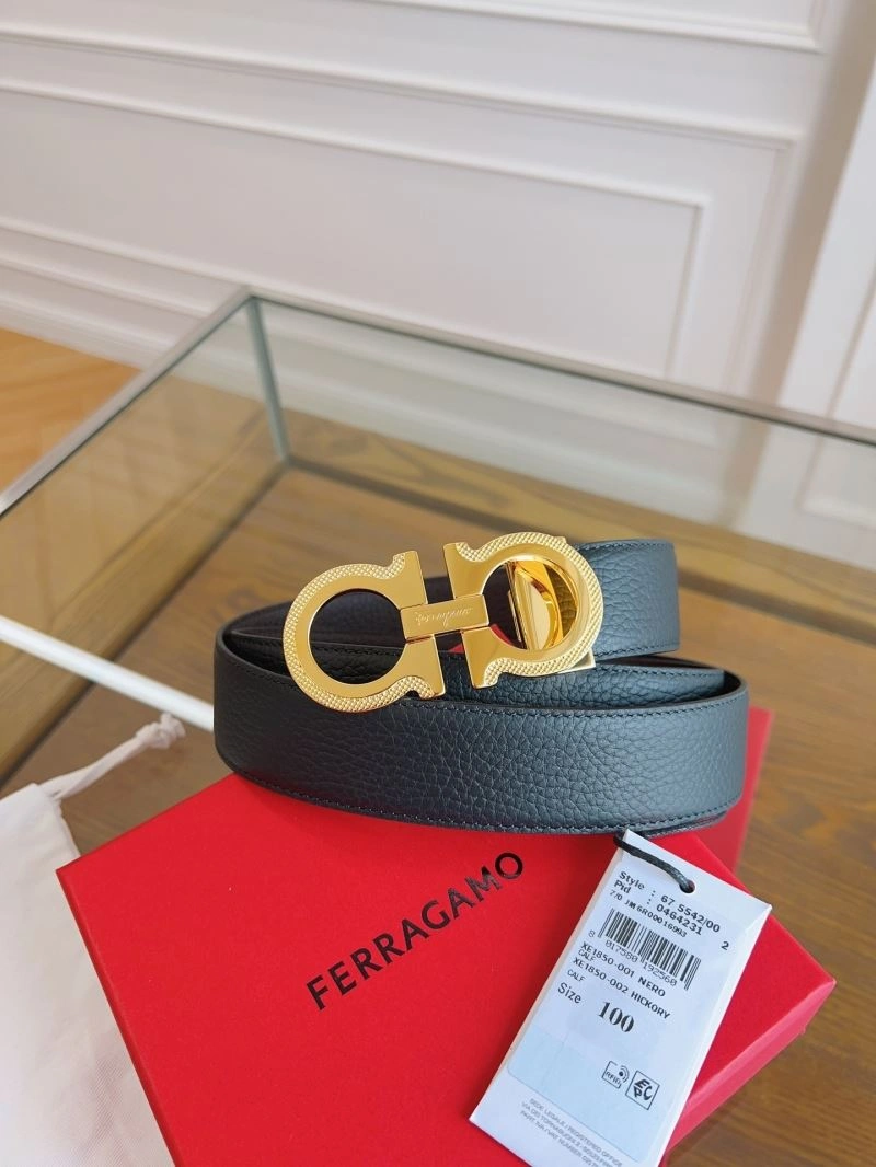 ZipUp Ferragamo Belts 289263
