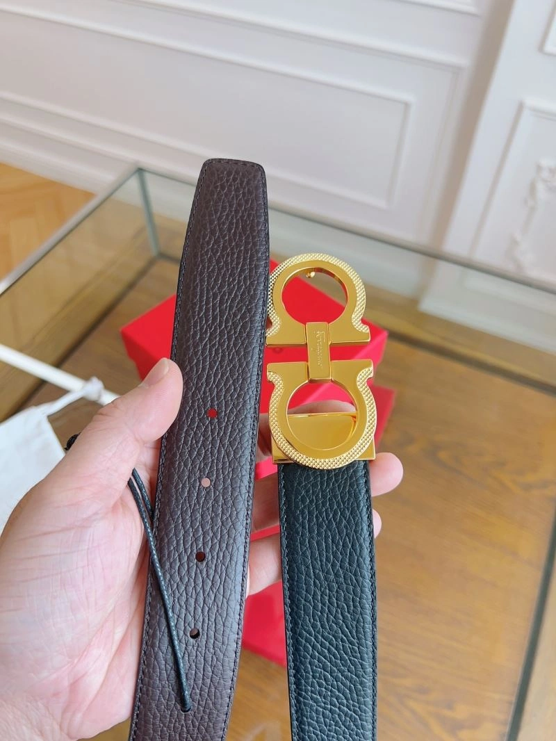 ZipUp Ferragamo Belts 289263