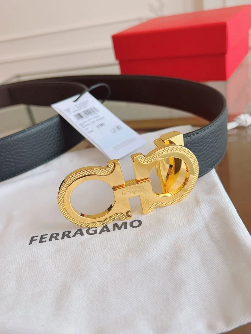 ZipUp Ferragamo Belts 289263
