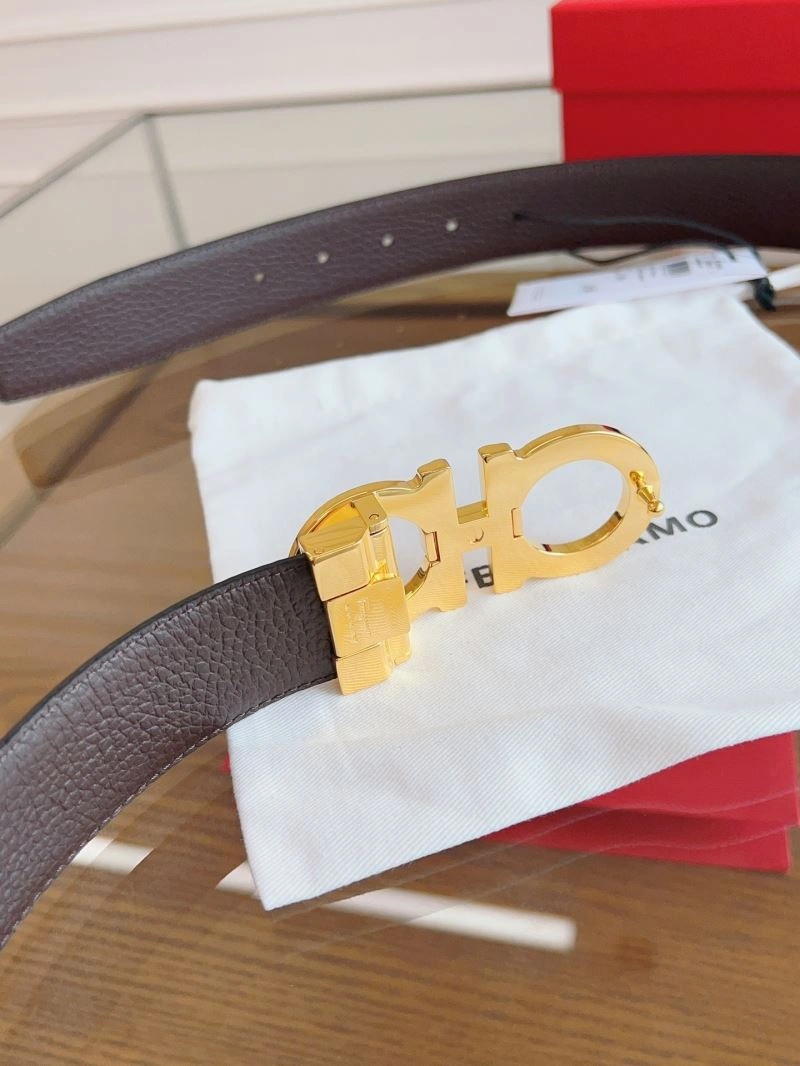 ZipUp Ferragamo Belts 289263