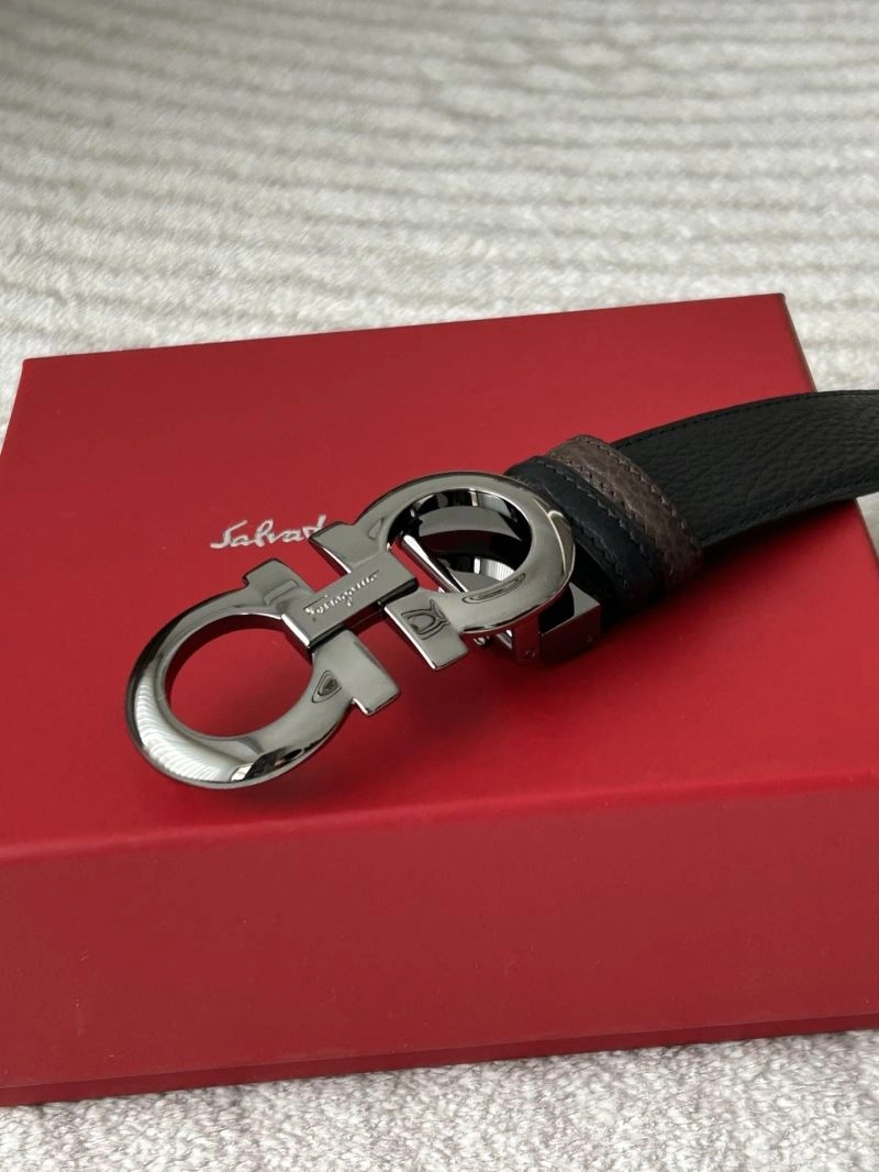 Ferragamo Belts Sophisticated 289215