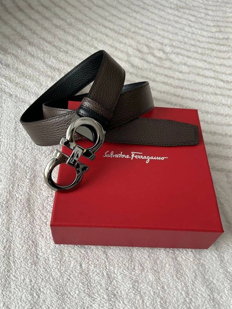 Ferragamo Belts Sophisticated 289215