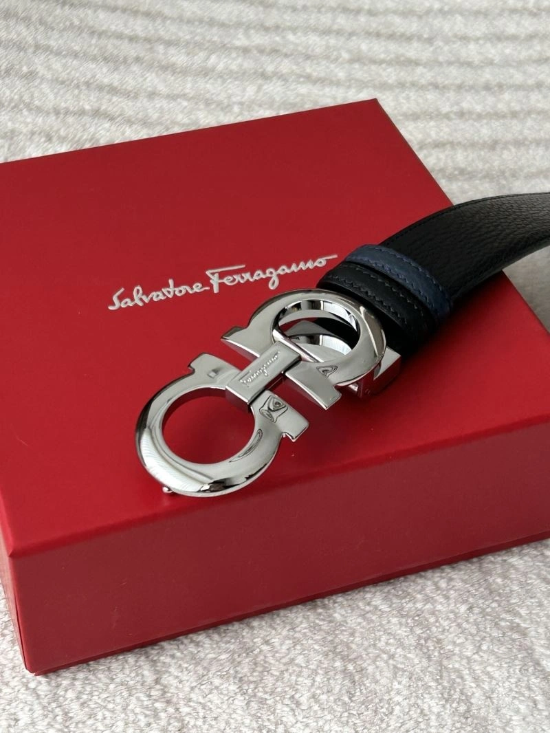 WellDesigned Ferragamo Belts 289231