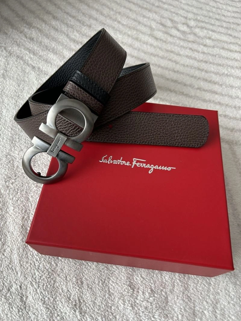Ferragamo Belts SoftTouch 289234