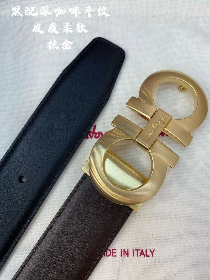Ferragamo Belts Vibrant 289212
