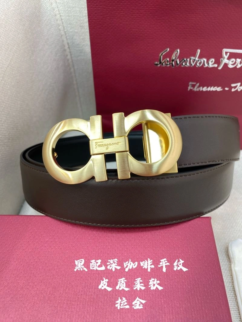 Ferragamo Belts Vibrant 289212