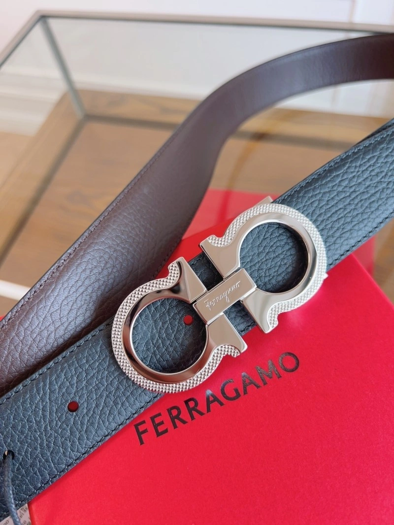 Cozy Ferragamo Belts 286584