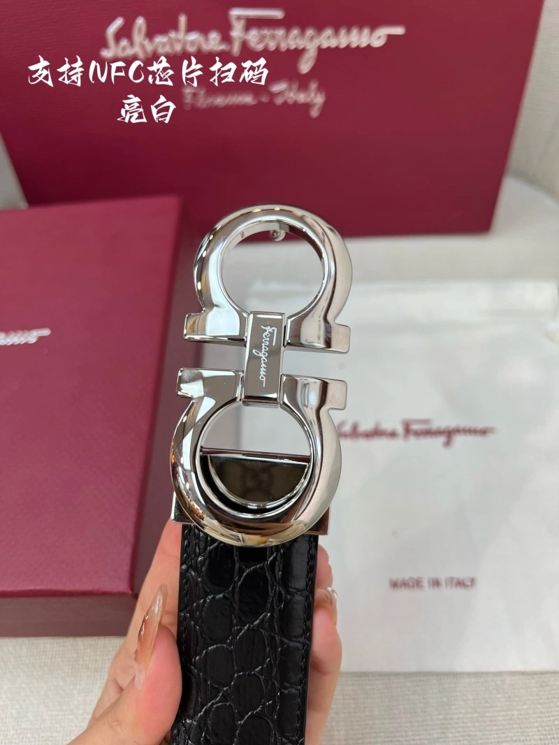 ZeroBulk Ferragamo Belts 286535