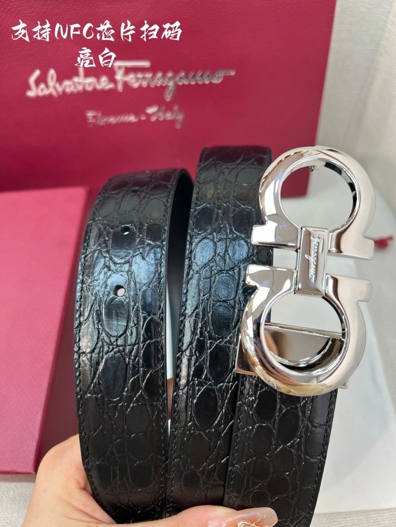 ZeroBulk Ferragamo Belts 286535