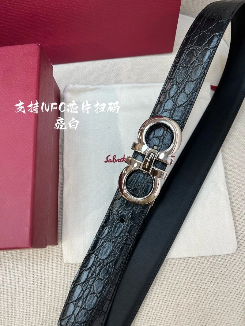 ZeroBulk Ferragamo Belts 286535