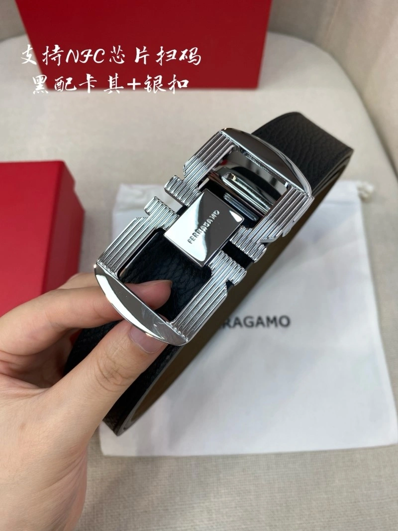 ZeroBulk Ferragamo Belts 286480