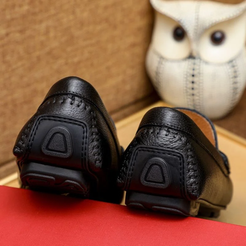 EasyCare Ferragamo Shoes 4737