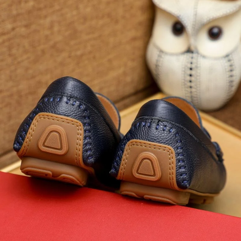 EyeCatching Ferragamo Shoes 4745