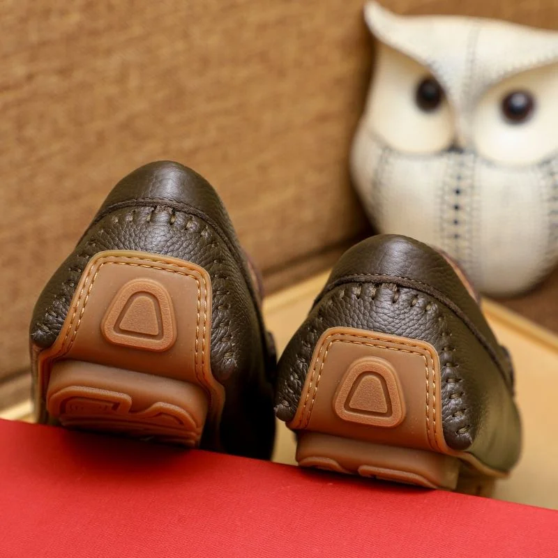 Trendsetting Ferragamo Shoes 4738