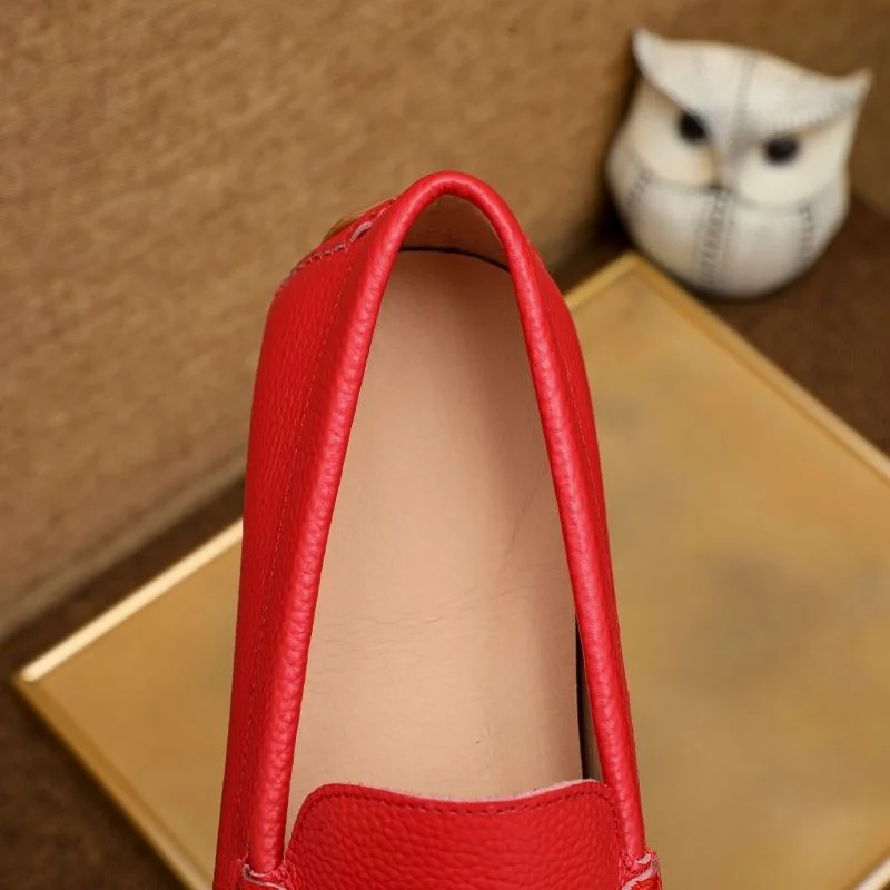 Ferragamo Shoes Colorful 4727