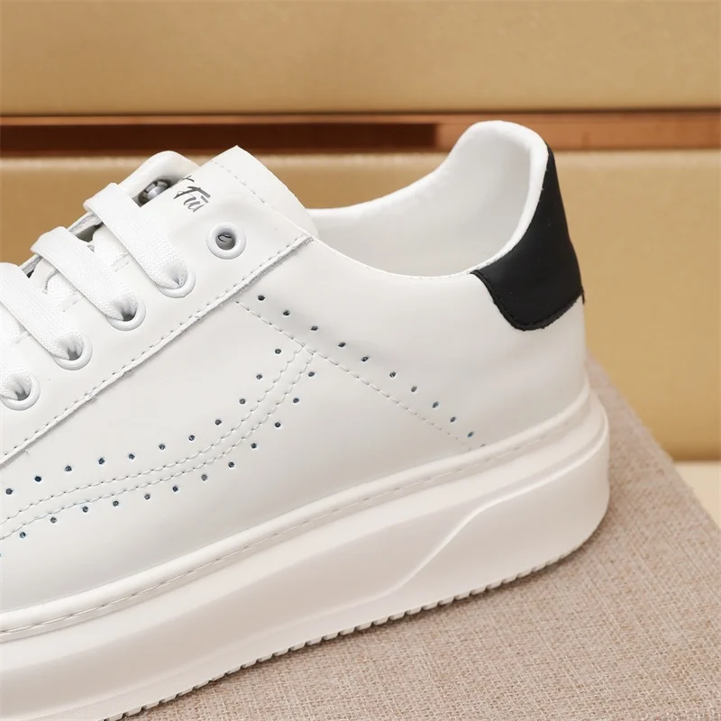 GoAnywhere Ferragamo Shoes 4761