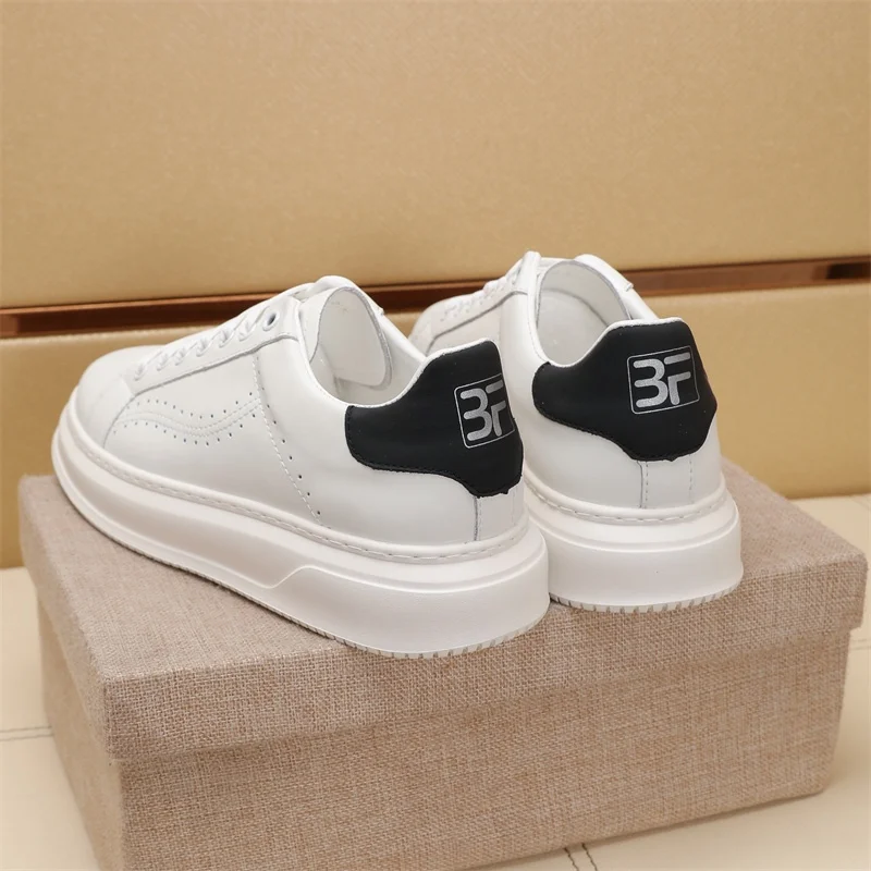 GoAnywhere Ferragamo Shoes 4761