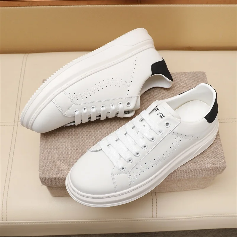 GoAnywhere Ferragamo Shoes 4761