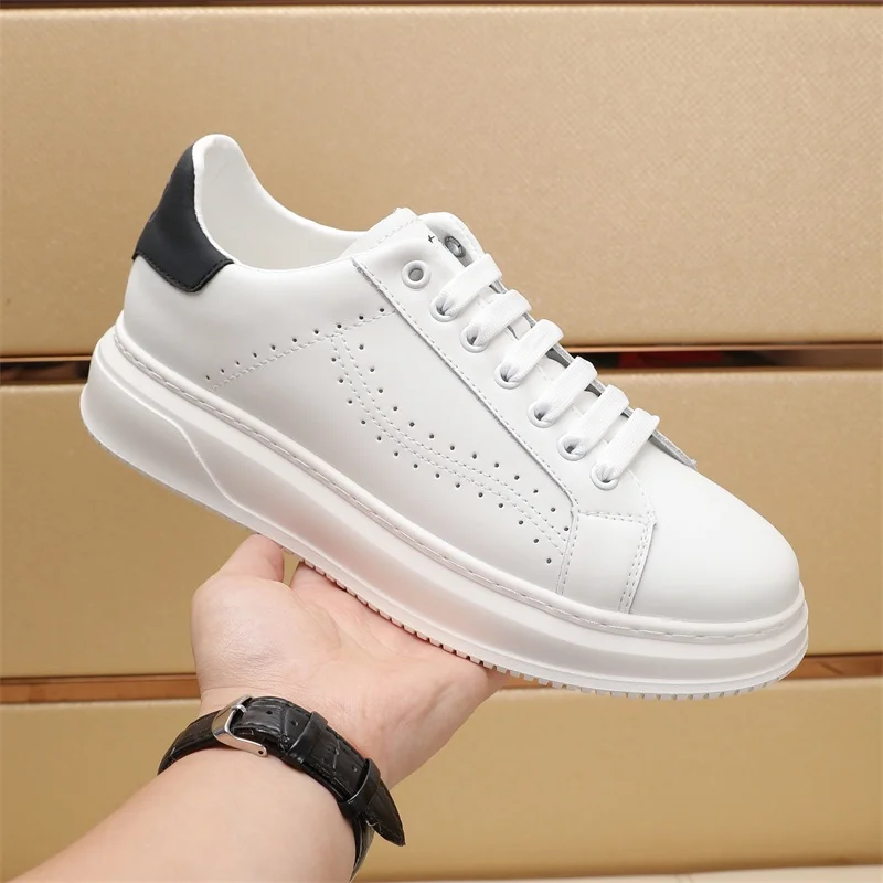 GoAnywhere Ferragamo Shoes 4761